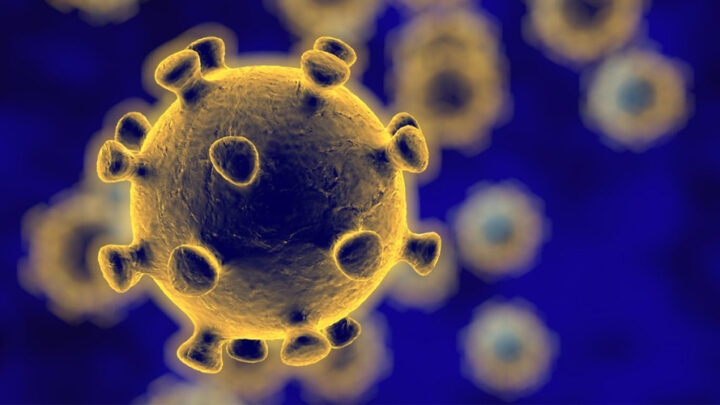 El coronavirus y la gestión de la información