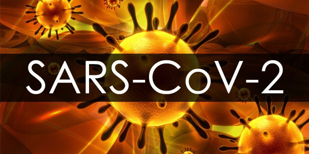 Coronavirus como fenómenos sociológico